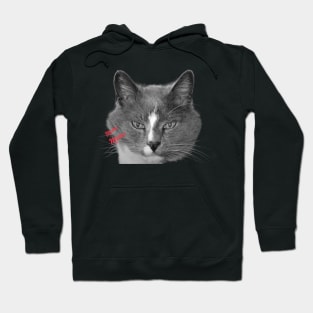 Meow Hoodie